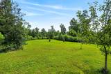 295 Narrow Way - Photo 42