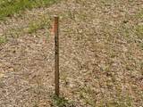 12 Fawn Meadows - Photo 3