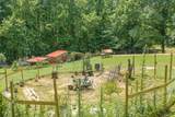 38 Doe Creek Rd - Photo 33