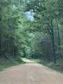 0 Old State Highway 69 - Photo 1