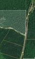 0 Old State Highway 69 - Photo 2