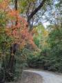 260 Tranquility Ln - Photo 11