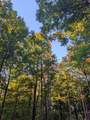 260 Tranquility Ln - Photo 12