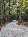 260 Tranquility Ln - Photo 3