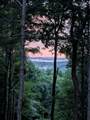 260 Tranquility Ln - Photo 33
