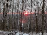260 Tranquility Ln - Photo 48
