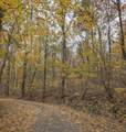 260 Tranquility Ln - Photo 50