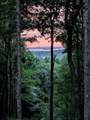 260 Tranquility Ln - Photo 7