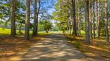 326 Charolais Trail - Photo 31