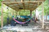 115 Debus St - Photo 47