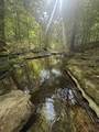 0 Toll Hollow Rd - Photo 1