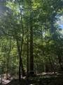 0 Toll Hollow Rd - Photo 13