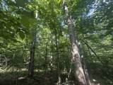 0 Toll Hollow Rd - Photo 16