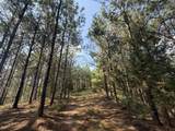 0 Toll Hollow Rd - Photo 19