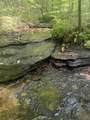 0 Toll Hollow Rd - Photo 21