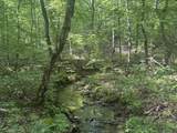 0 Toll Hollow Rd - Photo 23
