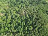 0 Toll Hollow Rd - Photo 30