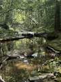 0 Toll Hollow Rd - Photo 9
