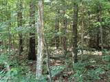 390 Georgee Rd - Photo 2