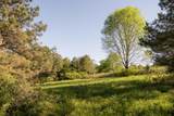 778 County Road 65 - Photo 35