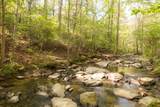 778 County Road 65 - Photo 48
