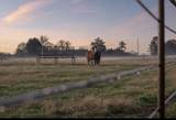 201 Lamb Rd - Photo 69