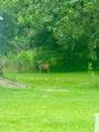 1640 Allen Brown Rd - Photo 6