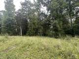 2 Toms Creek Lake Rd - Photo 1