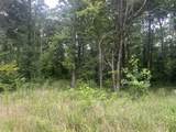 2 Toms Creek Lake Rd - Photo 5