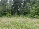 2 Toms Creek Lake Rd - Photo 6