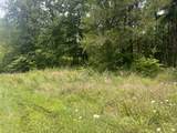 2 Toms Creek Lake Rd - Photo 8