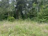 4 Toms Creek Lake Rd - Photo 6