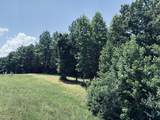 1711 Raulston Falls Road - Photo 3