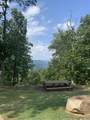 1711 Raulston Falls Road - Photo 21