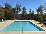1711 Raulston Falls Road - Photo 36