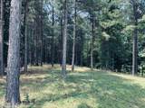 1711 Raulston Falls Road - Photo 5
