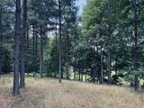 1711 Raulston Falls Road - Photo 8