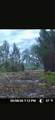0 Sealy Wells Rd - Photo 1