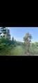 0 Sealy Wells Rd - Photo 11