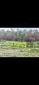 0 Sealy Wells Rd - Photo 12