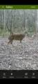 0 Sealy Wells Rd - Photo 15