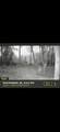 0 Sealy Wells Rd - Photo 20