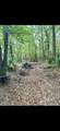 0 Sealy Wells Rd - Photo 21