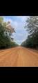0 Sealy Wells Rd - Photo 22