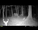 0 Sealy Wells Rd - Photo 23