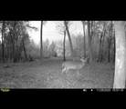 0 Sealy Wells Rd - Photo 25