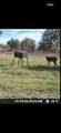 0 Sealy Wells Rd - Photo 4