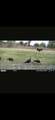 0 Sealy Wells Rd - Photo 5
