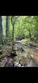 0 Sealy Wells Rd - Photo 6