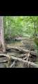 0 Sealy Wells Rd - Photo 8